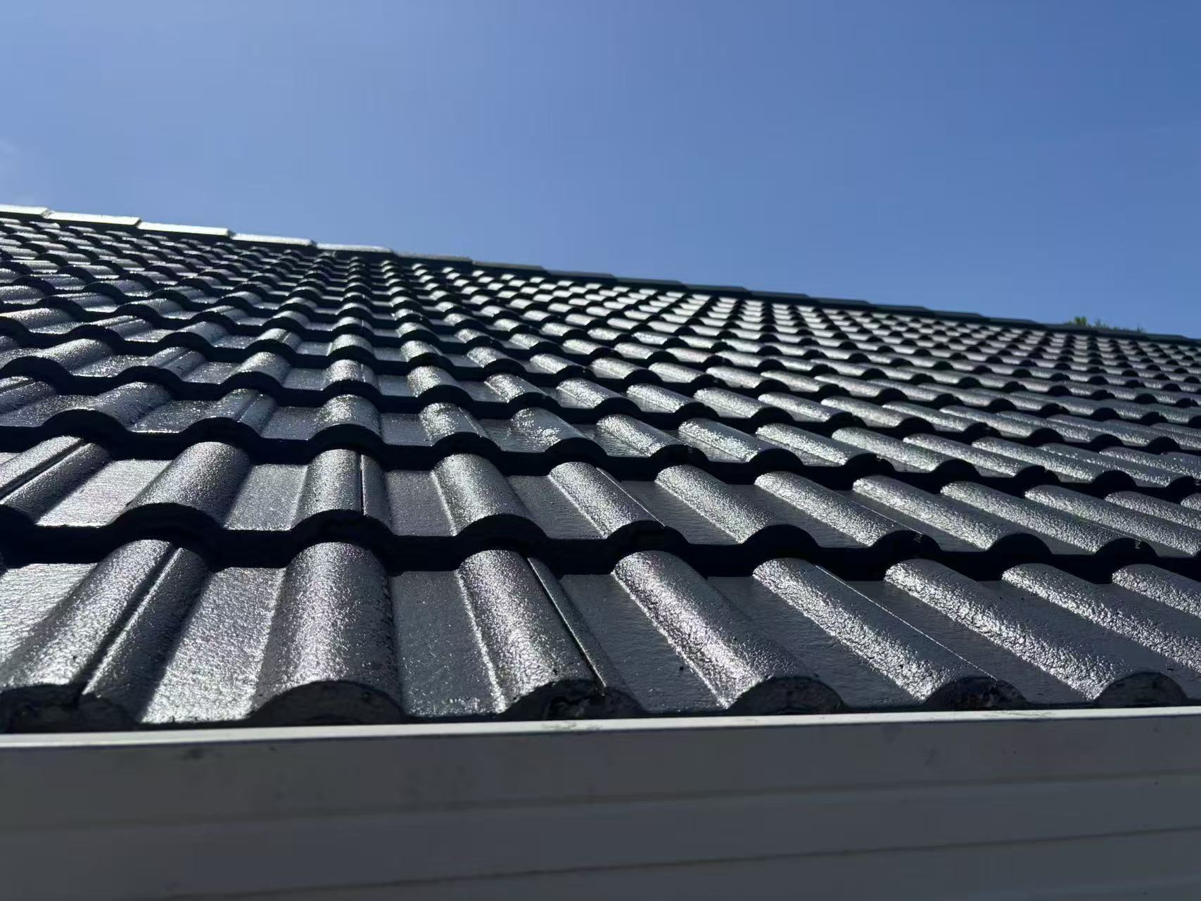 Roof Painting Project